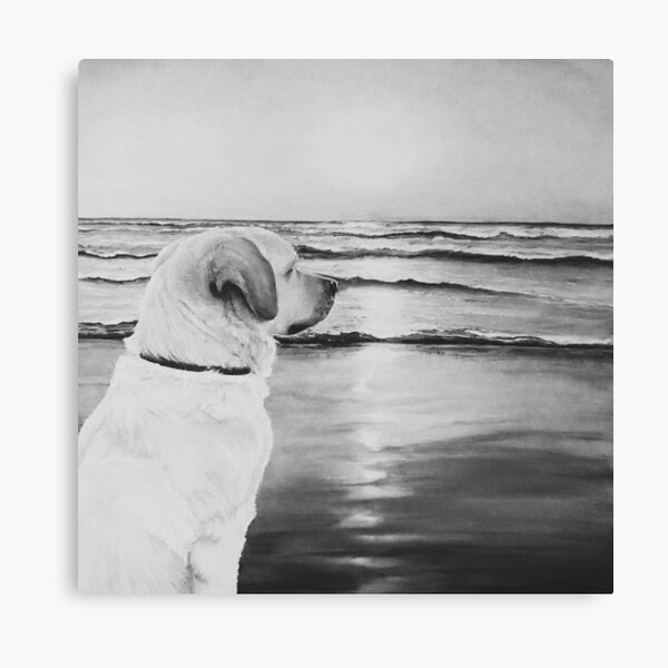 Item preview, Dog At The Beach, Taken from an Original Oil Painting by ZoeBaileyArt of a Labrador Retriever at the Beach Watching the Waves and the Sunset. designed and sold by Coco Blast.