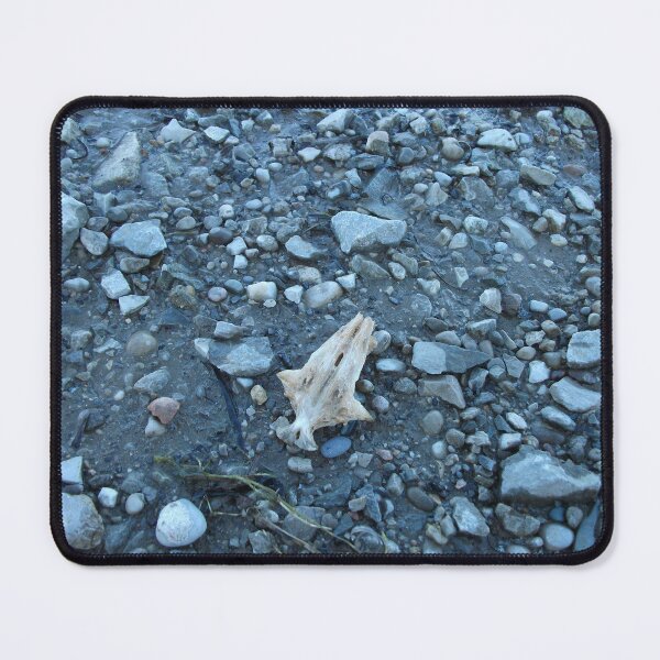 Item preview, Things Found Along the River designed and sold by allthingsnatura.