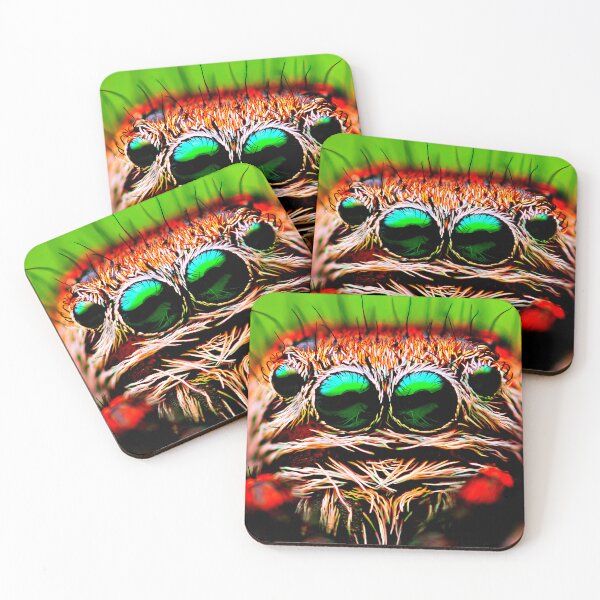 Item preview, spider photo with high resolution quality designed and sold by Allyouneed-2.