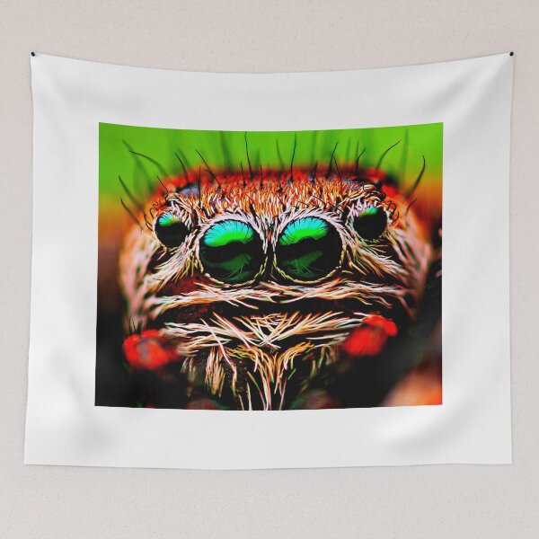 Item preview, spider photo with high resolution quality designed and sold by Allyouneed-2.