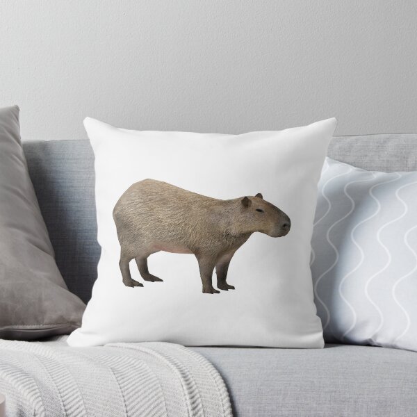 Artikelvorschau, Capybara entworfen und verkauft von Jonnyman.