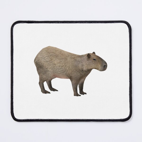 Artikelvorschau, Capybara entworfen und verkauft von Jonnyman.