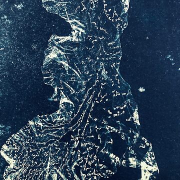 Artwork thumbnail, Cornish Sea Lettuce by Lesley Treloar