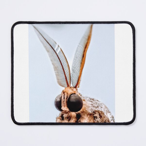 Item preview, Portrait of a moth designed and sold by jardsmacflards.