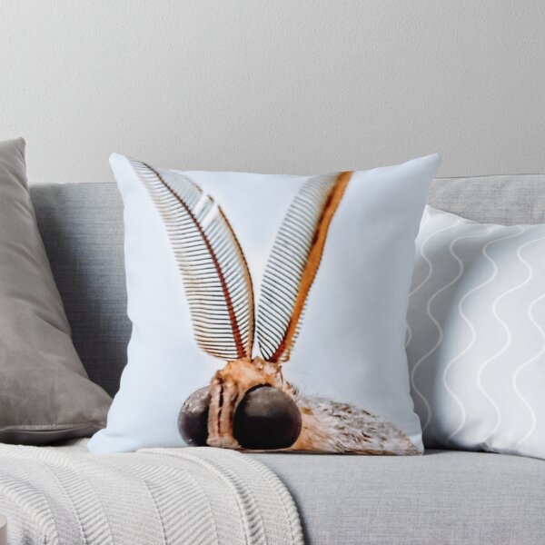 Item preview, Portrait of a moth designed and sold by jardsmacflards.