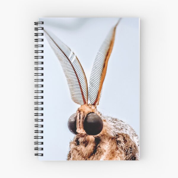 Item preview, Portrait of a moth designed and sold by jardsmacflards.