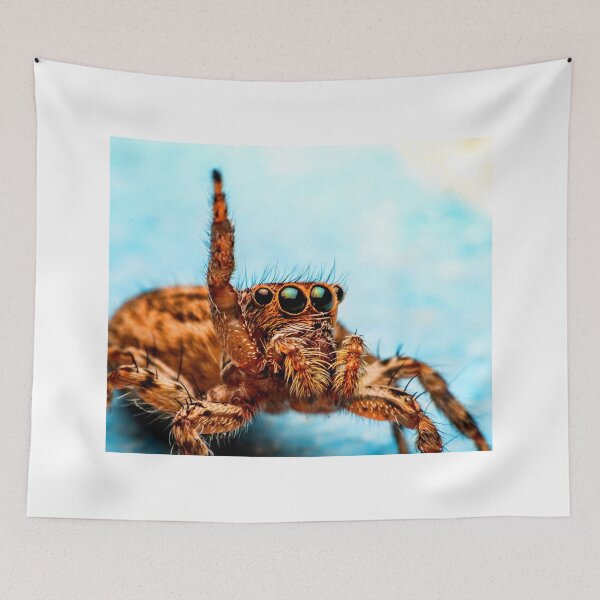 Item preview,  spider photo with high resolution quality designed and sold by Allyouneed-2.