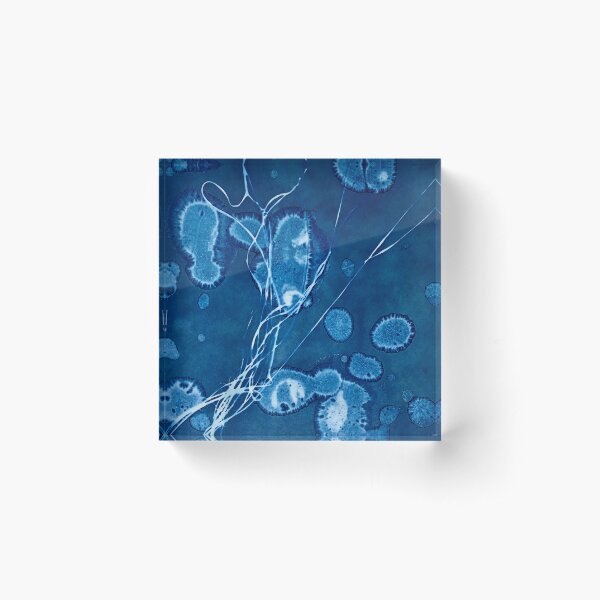 Cornish Deep Acrylic Block