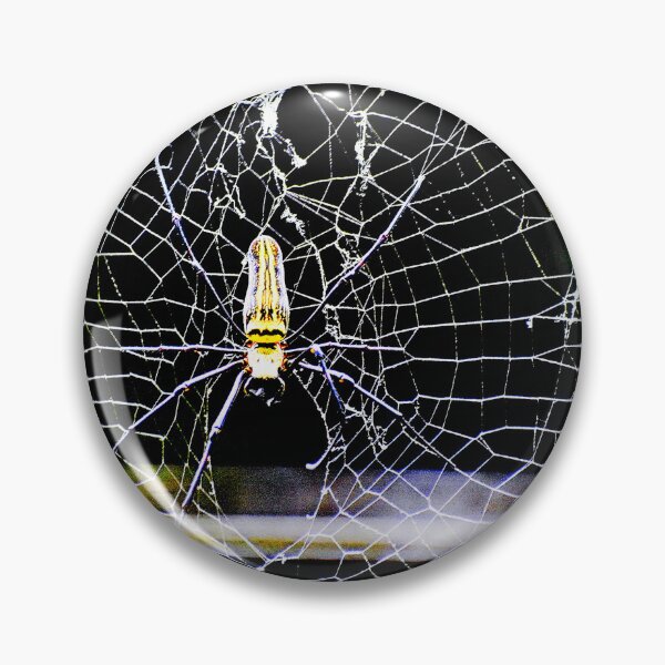Item preview,  spider photo with high resolution quality designed and sold by Allyouneed-2.