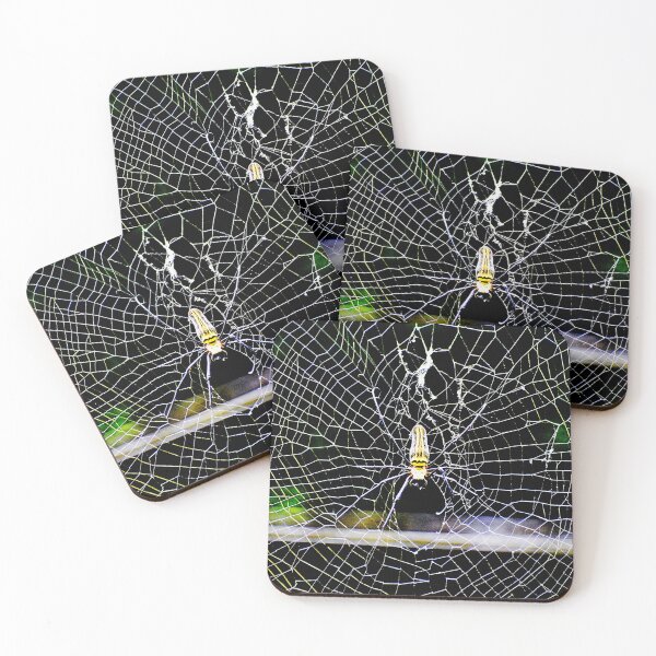 Item preview,  spider photo with high resolution quality designed and sold by Allyouneed-2.