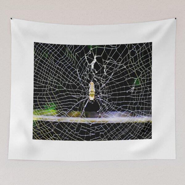Item preview,  spider photo with high resolution quality designed and sold by Allyouneed-2.