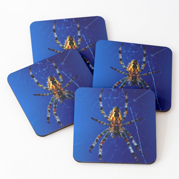Item preview,  spider photo with high resolution quality designed and sold by Allyouneed-2.