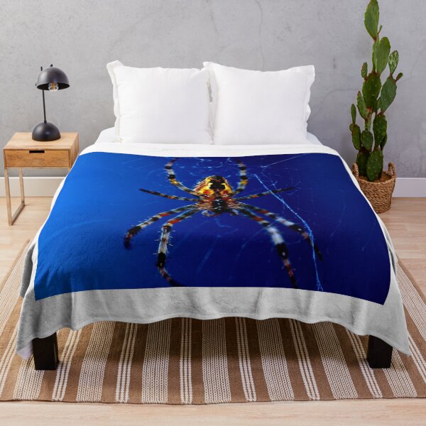 Item preview,  spider photo with high resolution quality designed and sold by Allyouneed-2.