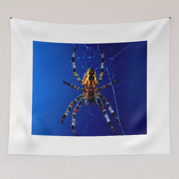 Item preview,  spider photo with high resolution quality designed and sold by Allyouneed-2.