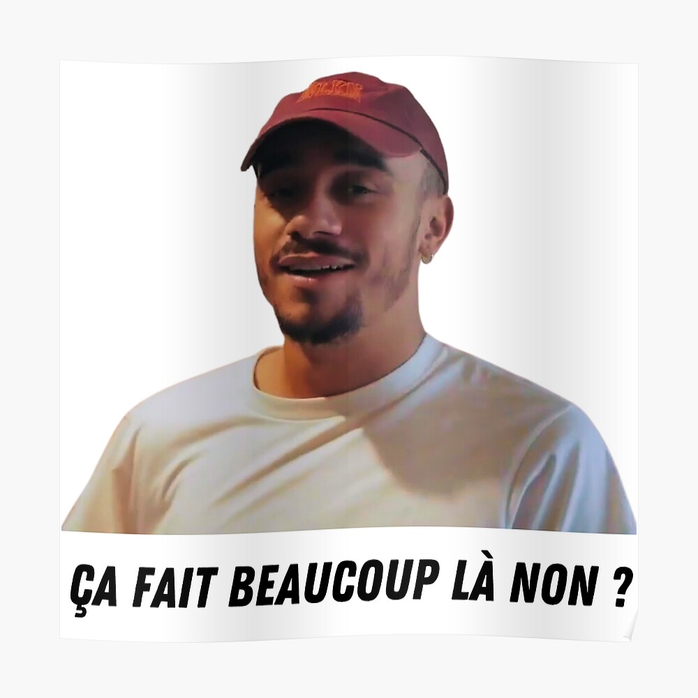 Mister V Ca Fait Beaucoup La Non Mister V, das ist viel, nicht wahr?" Sticker von Stazzzouw | Redbubble