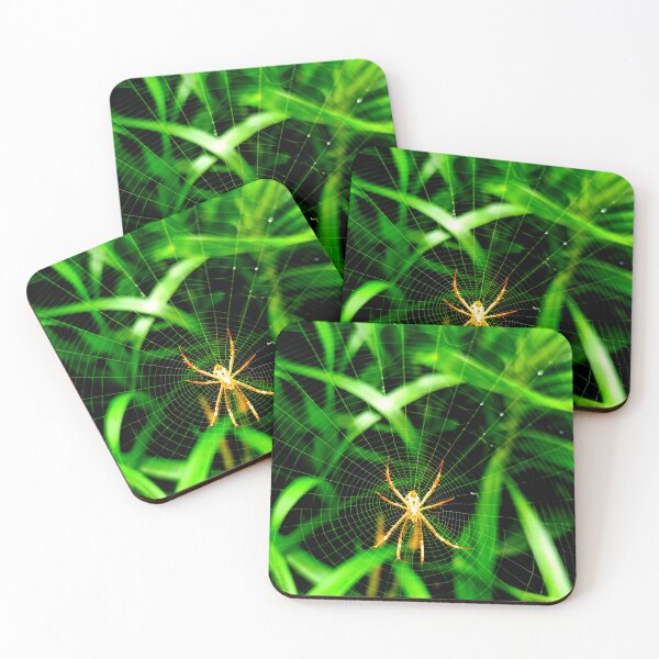 Item preview, spider photo with high resolution quality designed and sold by Allyouneed-2.