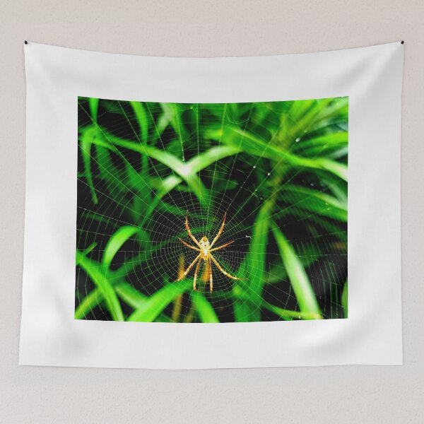 Item preview, spider photo with high resolution quality designed and sold by Allyouneed-2.