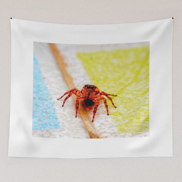 Item preview, spider photo with high resolution quality designed and sold by Allyouneed-2.