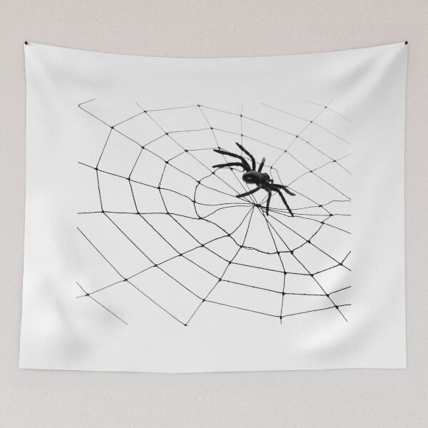 Item preview,  spider photo with high resolution quality designed and sold by Allyouneed-2.