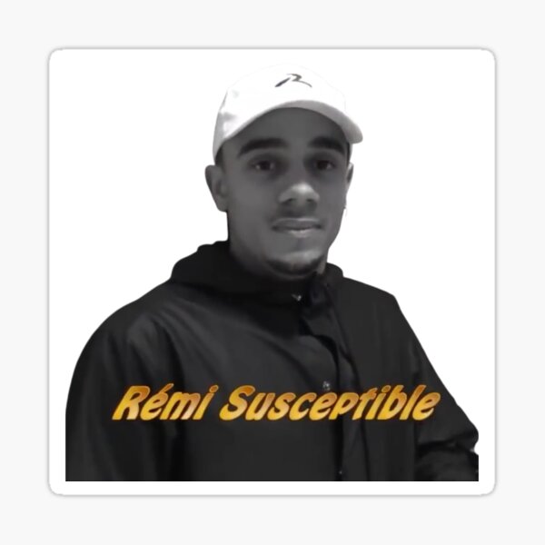 Mister V Rémi Susceptible Sticker