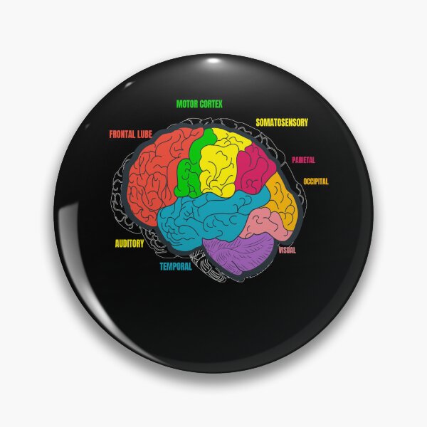 Item preview, Diagram Brain Neurology Science designed and sold by MooonTees.