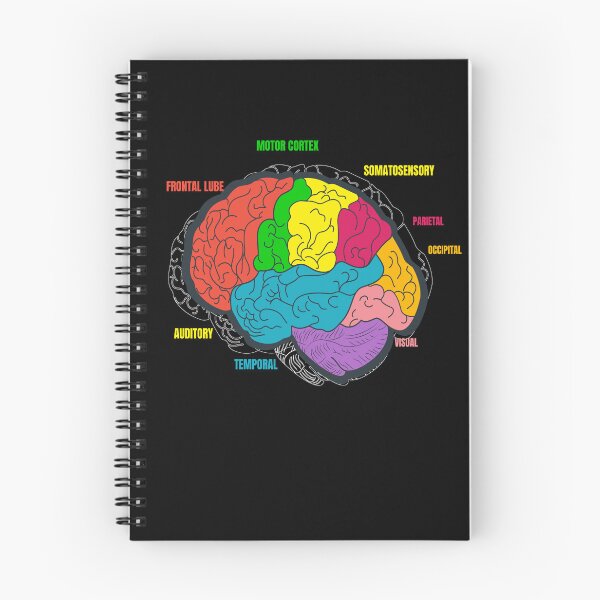 Item preview, Diagram Brain Neurology Science designed and sold by MooonTees.