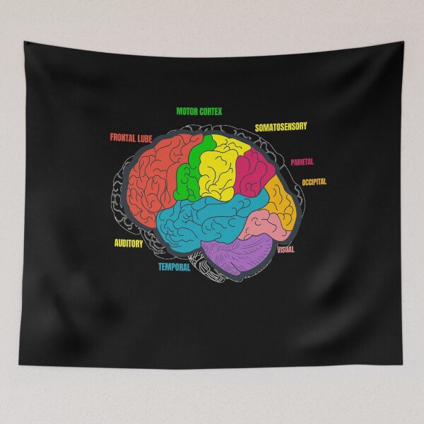 Item preview, Diagram Brain Neurology Science designed and sold by MooonTees.