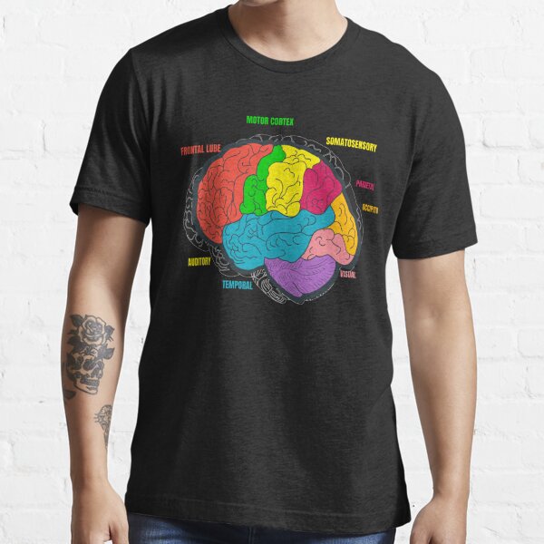 Neurologists Love Brains - Skeleton with Exposed Brain by arts-by-bagwis   Creative t shirt design, Tshirt design inspiration, Shirt design inspiration