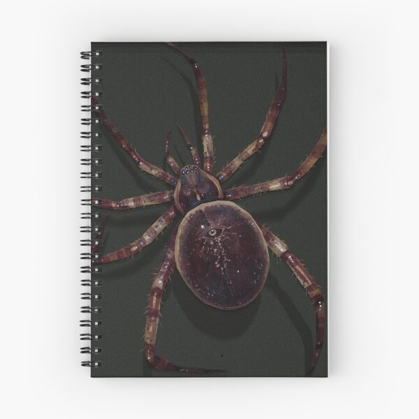 Item preview, All Knowing -(spider print) designed and sold by woodenpencilbox.