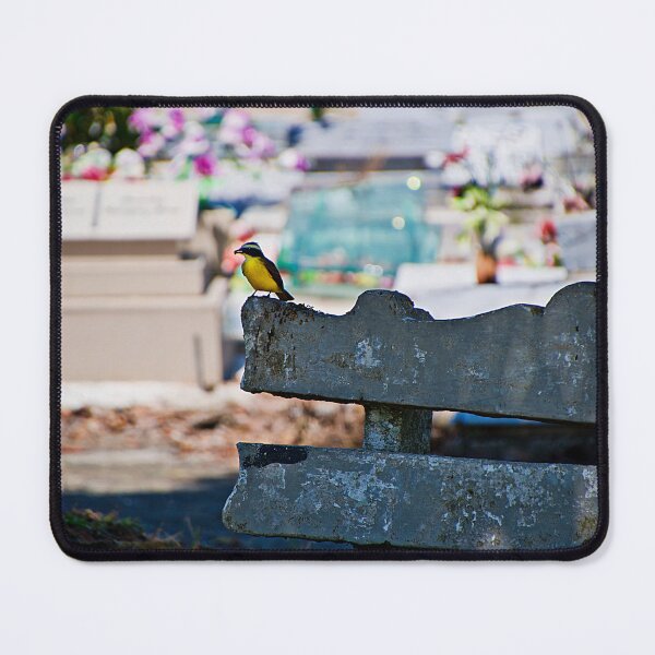 Item preview, A Feast For A Kiskadee designed and sold by alabca.