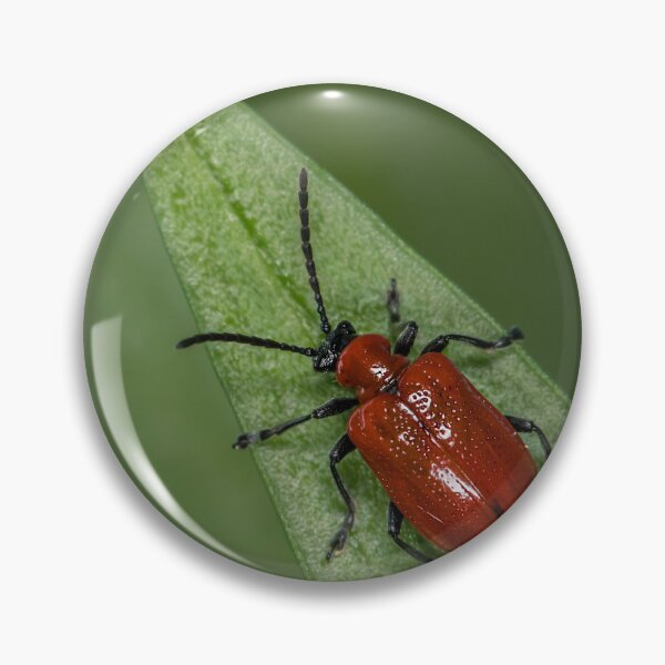 Item preview, Scarlet lily beetle sitting on a green leaf designed and sold by Stefan Rotter.