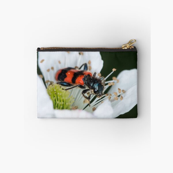 Item preview, Colorful checkered beetle sitting in a flower designed and sold by Stefan Rotter.
