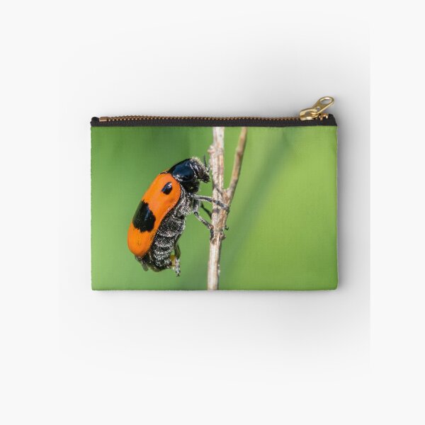 Item preview, A four-spotted leaf beetle designed and sold by Stefan Rotter.