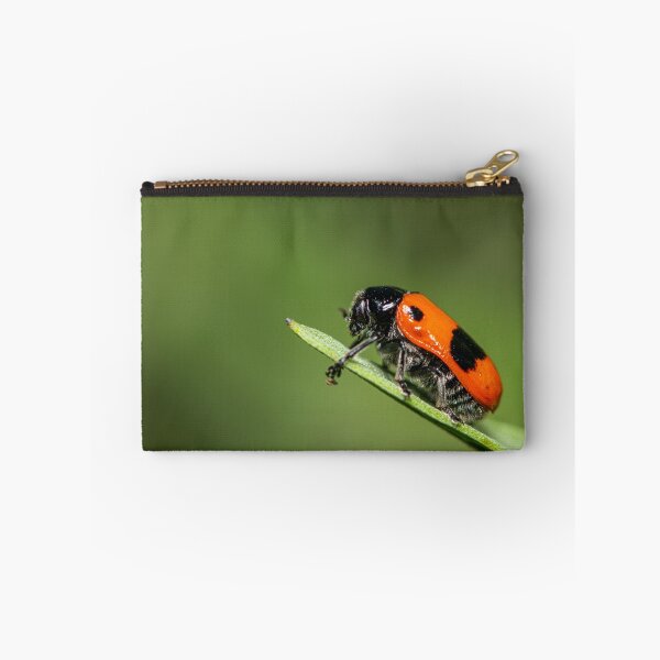 Item preview, A four-spotted leaf beetle on a green leaf designed and sold by Stefan Rotter.