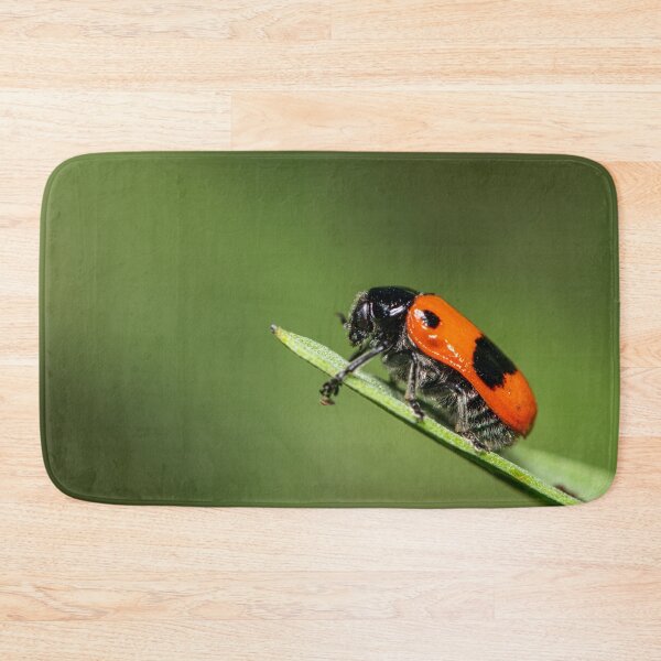 Item preview, A four-spotted leaf beetle on a green leaf designed and sold by Stefan Rotter.