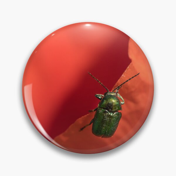 Item preview, A very small green leaf beetle sitting on a red poppy blossom designed and sold by Stefan Rotter.