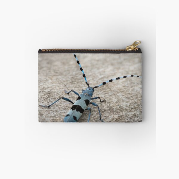 Item preview, Female Alpine longhorn beetle on a beech tree designed and sold by Stefan Rotter.