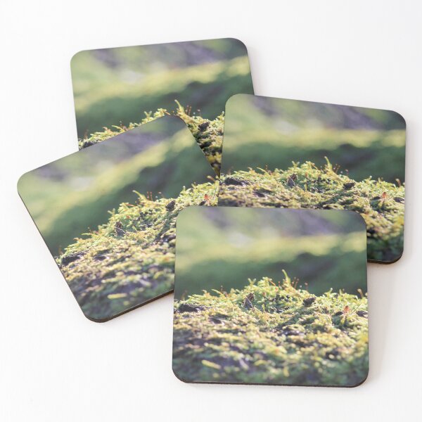 Item preview, Moss in sunlight designed and sold by child-of-nature.