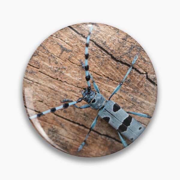 Item preview, Colorful Alpine longhorn beetle designed and sold by Stefan Rotter.