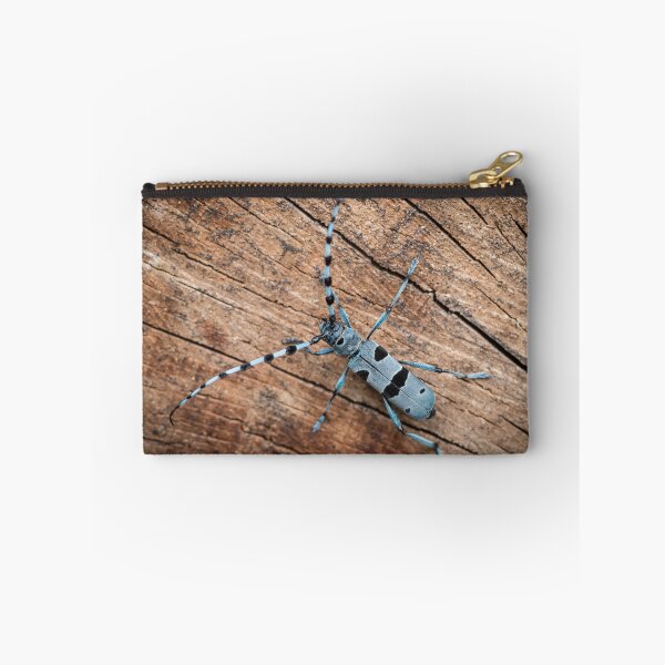 Item preview, Colorful Alpine longhorn beetle designed and sold by Stefan Rotter.