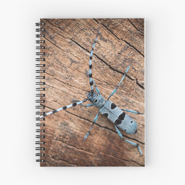 Item preview, Colorful Alpine longhorn beetle designed and sold by Stefan Rotter.