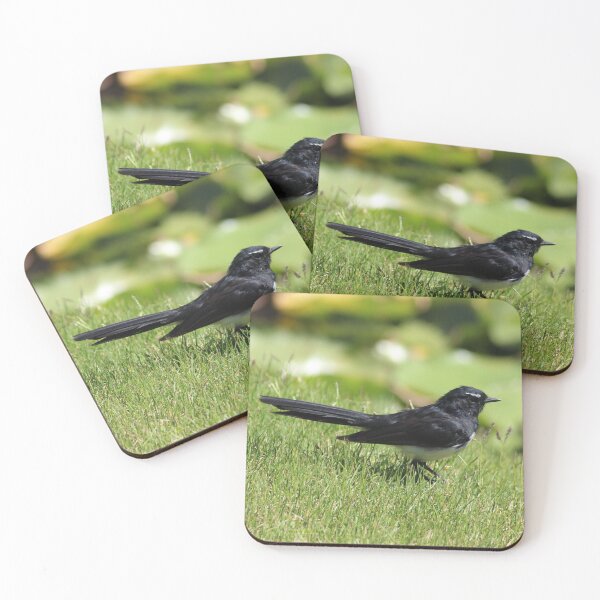 Item preview, Willy wagtail designed and sold by irened71.