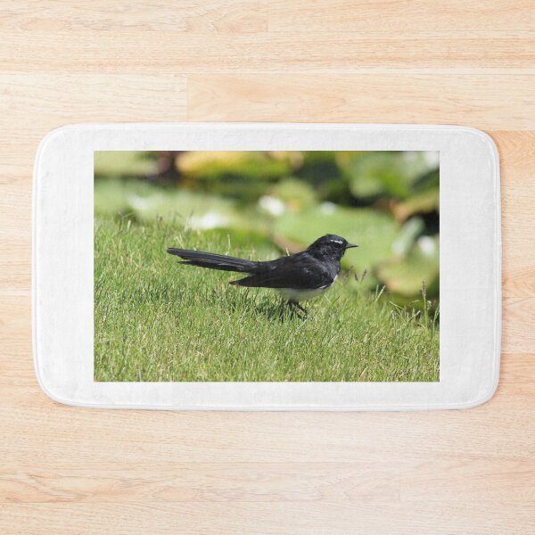 Item preview, Willy wagtail designed and sold by irened71.