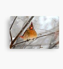 WHAT THE ... ????? Canvas Print