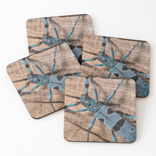 Item preview, Colorful Alpine longhorn beetle designed and sold by Stefan Rotter.