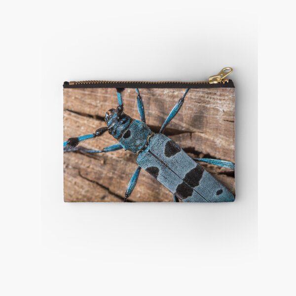 Item preview, Colorful Alpine longhorn beetle designed and sold by Stefan Rotter.