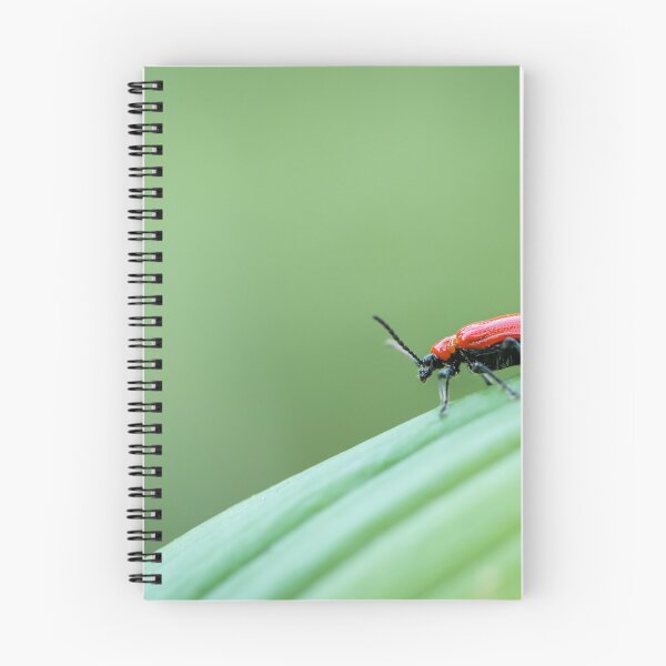 Item preview, Scarlet lily beetle sitting on a green leaf designed and sold by Stefan Rotter.