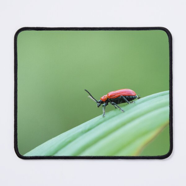 Item preview, Scarlet lily beetle sitting on a green leaf designed and sold by Stefan Rotter.