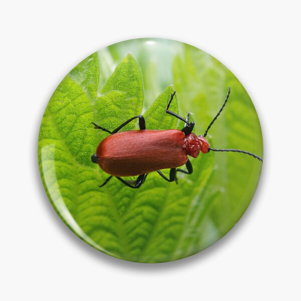 Item preview, A fire colored beetle sitting on a nettle designed and sold by Stefan Rotter.