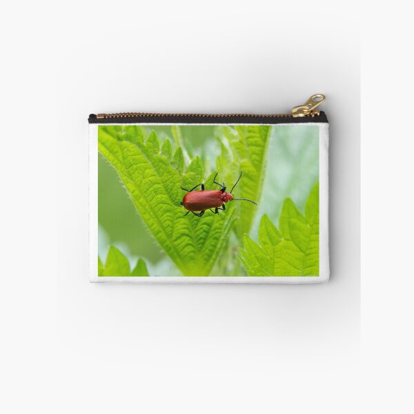 Item preview, A fire colored beetle sitting on a nettle designed and sold by Stefan Rotter.